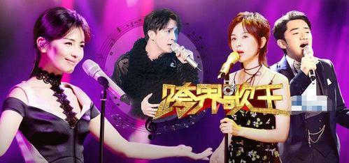 日本综艺磁链,揭秘热门节目背后的趣味故事