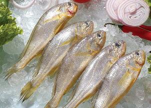 小黄鱼爆料新闻视频播放,揭秘新闻视频背后的真相