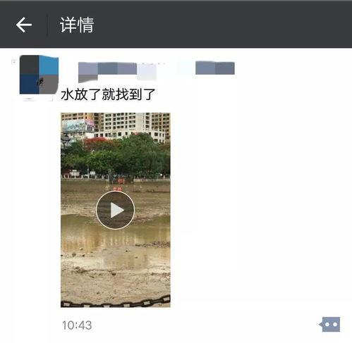 爆料死亡新闻最新视频大全,惊悚瞬间！最新死亡新闻视频大盘点