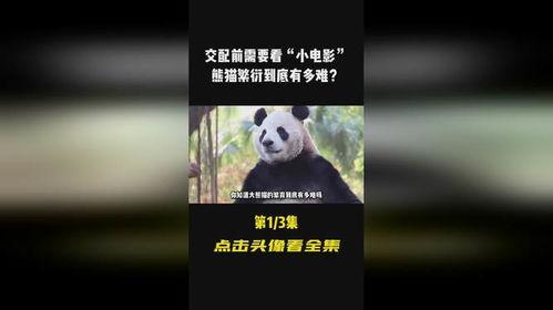 av.pron.jp,揭秘av.pron.jp的神秘世界