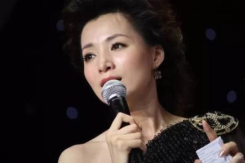 董卿 丝袜 小说,揭开神秘面纱的都市传奇