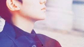 明星动态图片文字,捕捉镜头下的璀璨星光