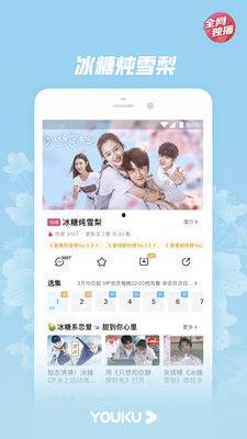 冰糖炖雪梨视频下载,轻松学会家常甜品制作