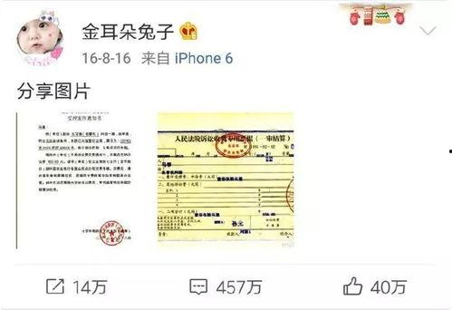娱乐圈吃瓜大鹅微博,揭秘明星幕后故事，带你领略娱乐圈真实一面
