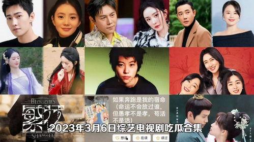 娱乐吃瓜电视剧模式,幕后秘辛，权谋与爱情的较量
