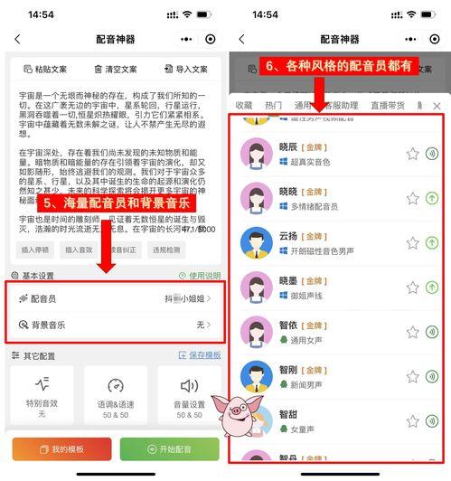 娱乐吃瓜用的配音软件,娱乐吃瓜必备神器