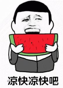 刘二豆与娱乐吃瓜君,揭秘娱乐圈背后的故事